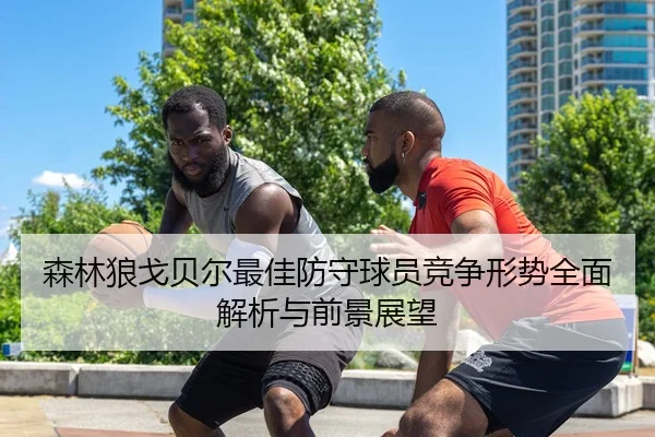 森林狼戈贝尔最佳防守球员竞争形势全面解析与前景展望