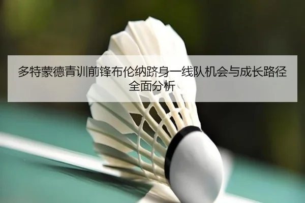 多特蒙德青训前锋布伦纳跻身一线队机会与成长路径全面分析