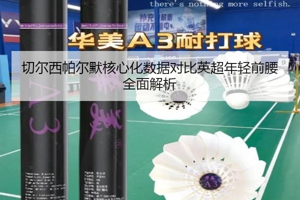 切尔西帕尔默核心化数据对比英超年轻前腰全面解析